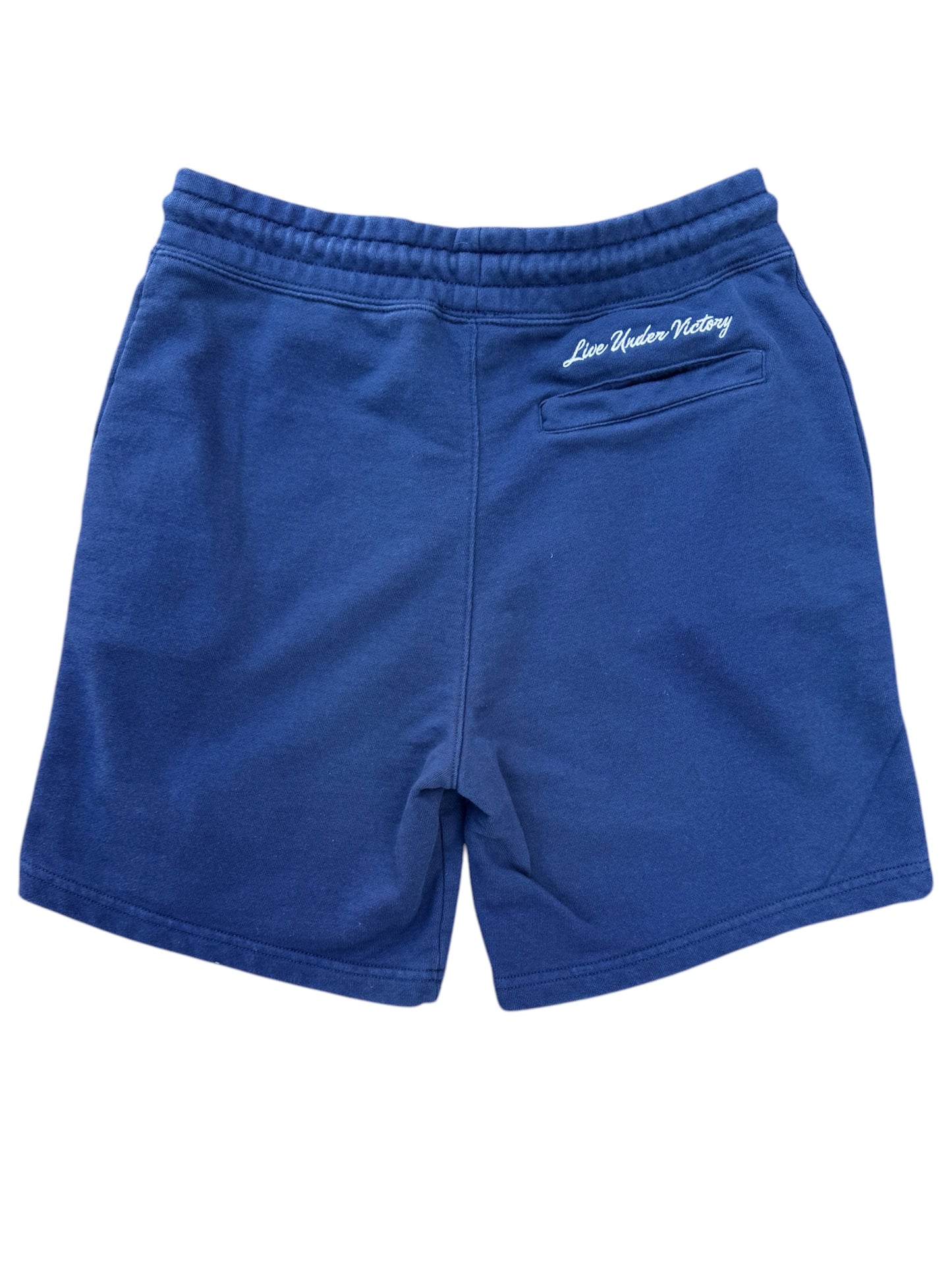 Limited Edition ℒ𝒾𝓋ℯ 𝒰𝓃𝒹ℯ𝓇 𝒱𝒾𝒸𝓉ℴ𝓇𝓎 French Terry Shorts - Navy Blue