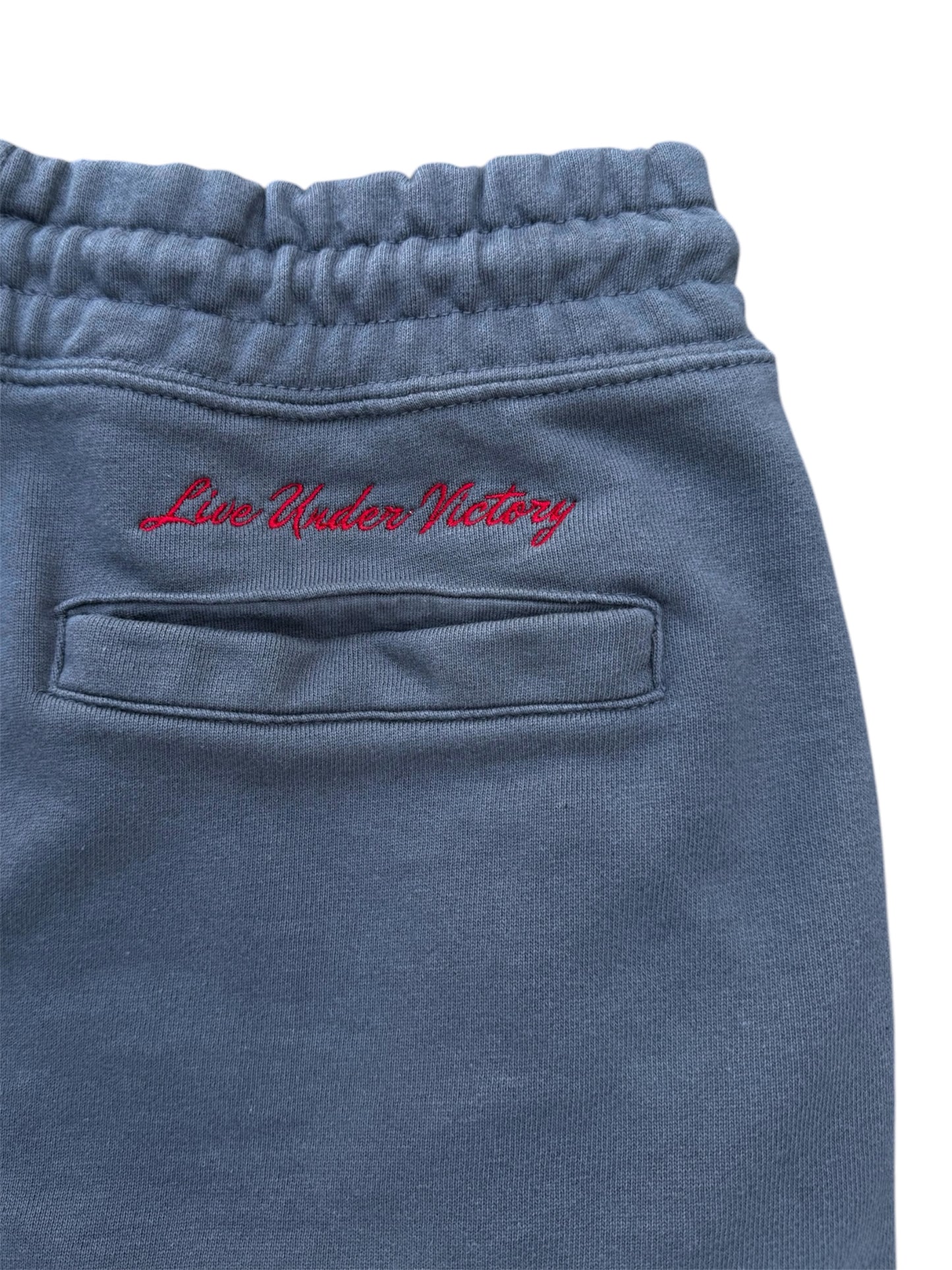 Limited Edition ℒ𝒾𝓋ℯ 𝒰𝓃𝒹ℯ𝓇 𝒱𝒾𝒸𝓉ℴ𝓇𝓎 French Terry Shorts - Slate